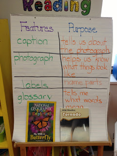 You Can’t Ignore…Nonfiction Text Features! & Freebie Chart