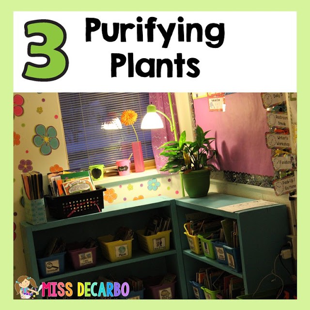 This post shares five simple ways to make your classroom brain-friendly for students. Christina shares tips and tricks for classroom decor and management.