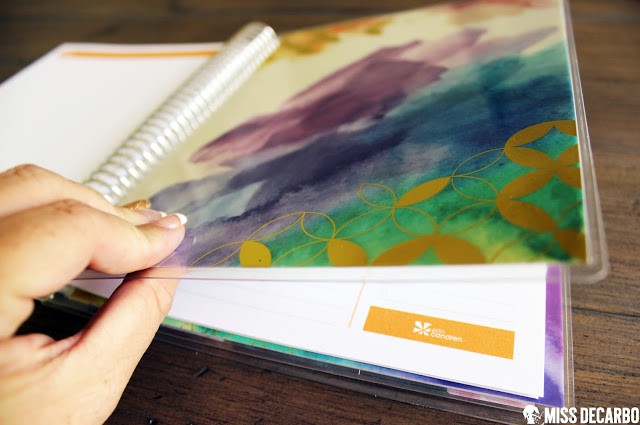 Beautiful Back to School Tools for Teachers: An Erin Condren Review by Miss DeCarbo