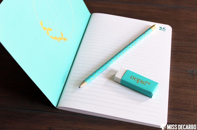 Beautiful Back to School Tools for Teachers: An Erin Condren Review by Miss DeCarbo
