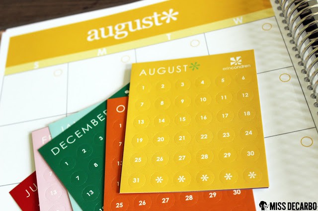 Beautiful Back to School Tools for Teachers: An Erin Condren Review by Miss DeCarbo