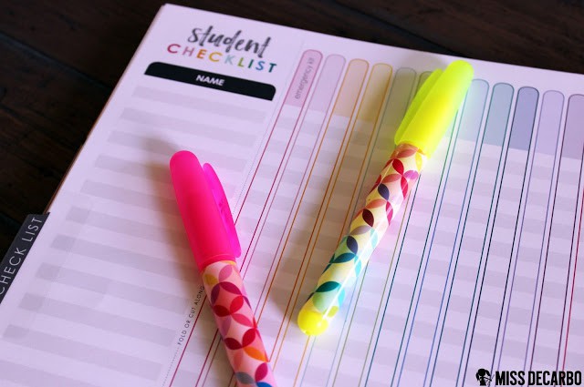 Beautiful Back to School Tools for Teachers: An Erin Condren Review by Miss DeCarbo