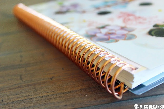Beautiful Back to School Tools for Teachers: An Erin Condren Review by Miss DeCarbo