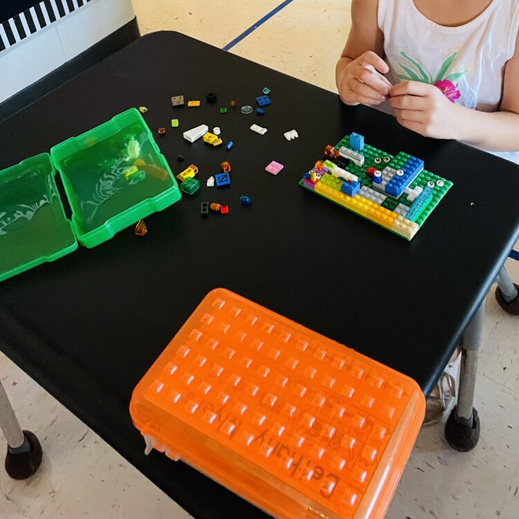 Using individual brain bins and Lego bins for the classroom! Use these bins as independent morning tubs or during indoor recess.