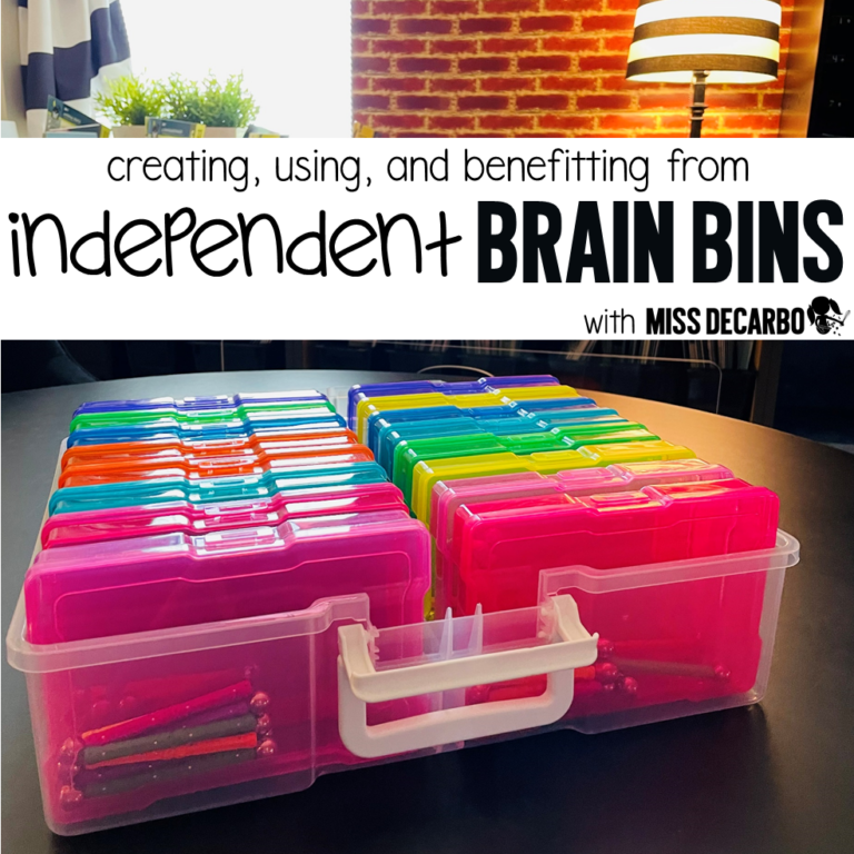 independent brain bins for the classroom